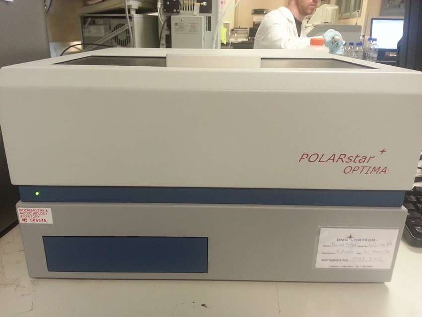 Plate Reader Microplate