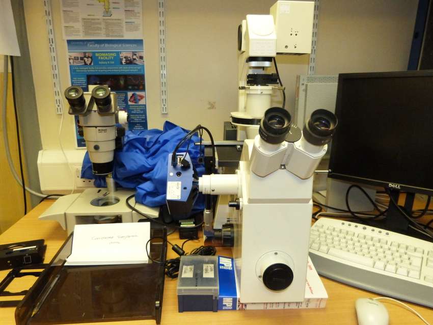 CD Digital Microscope Camera