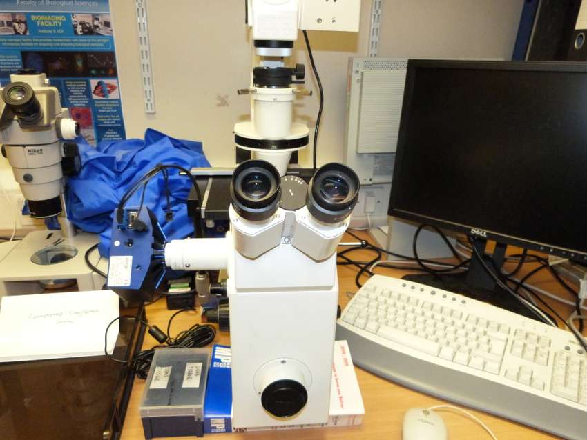 CD Digital Microscope Camera