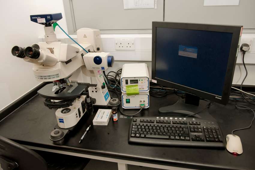 Microscope System