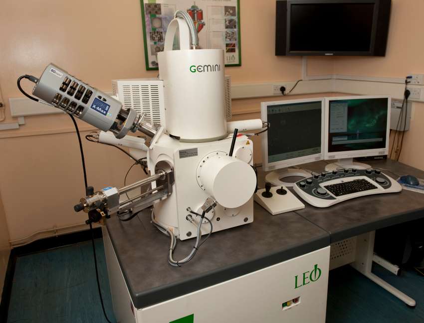 LEO 1530 FEG Scanning Electron Microsope