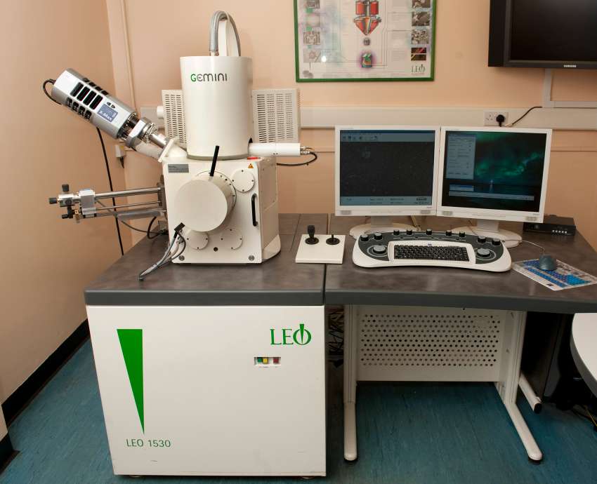 LEO 1530 FEG Scanning Electron Microsope