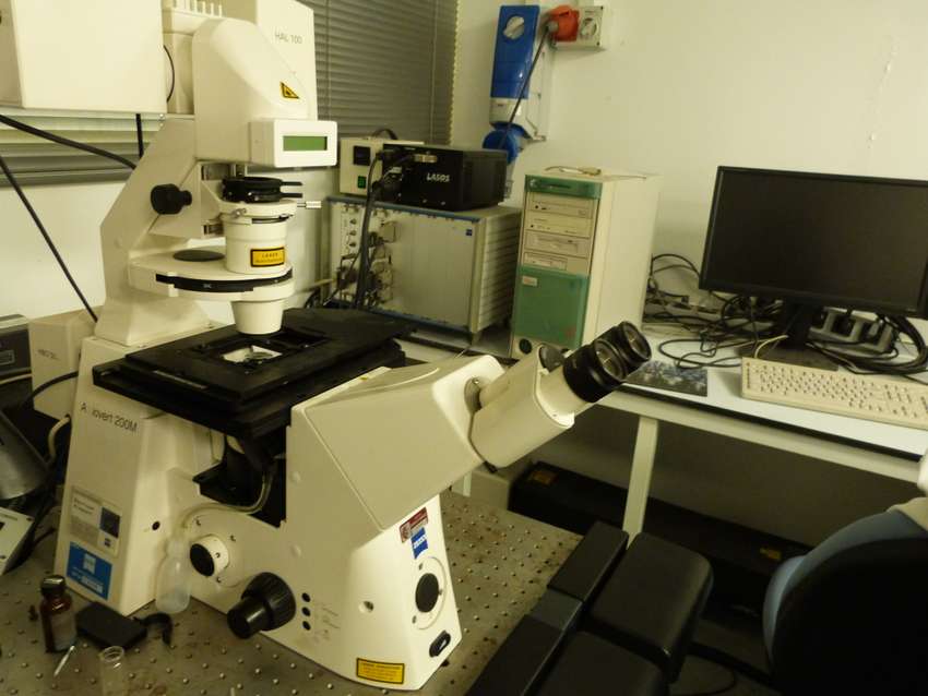 Microscope - confocal