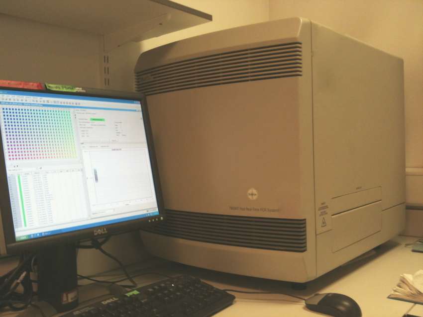 7900HT Real Time PCR Machine