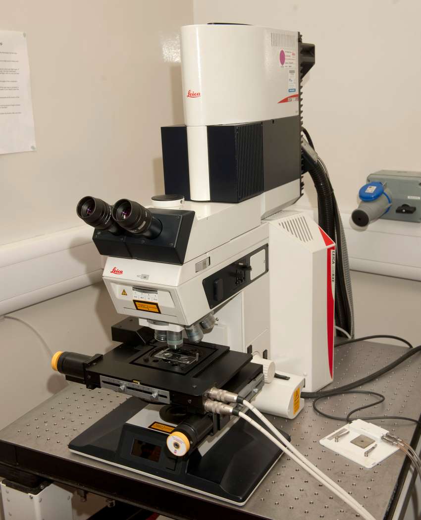 Spectral confocal & multiphoton system