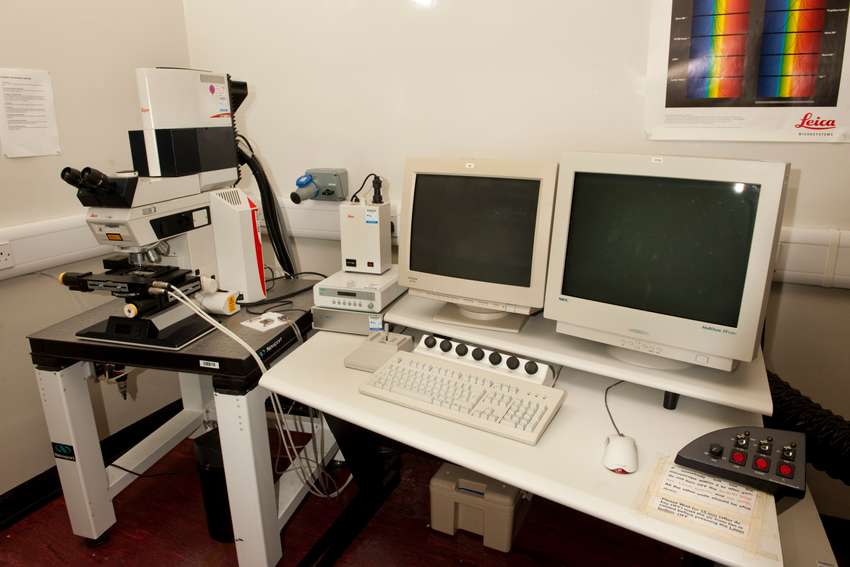 Spectral confocal & multiphoton system