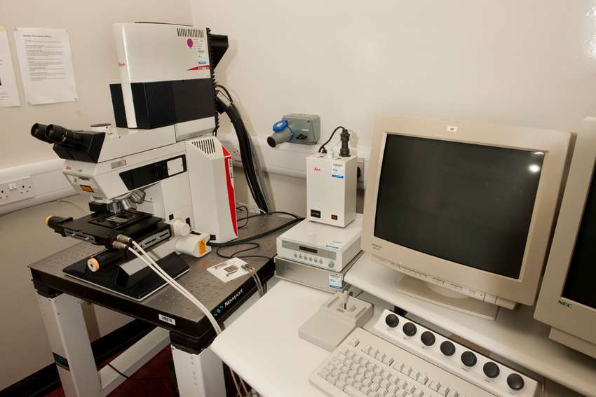 Spectral confocal & multiphoton system