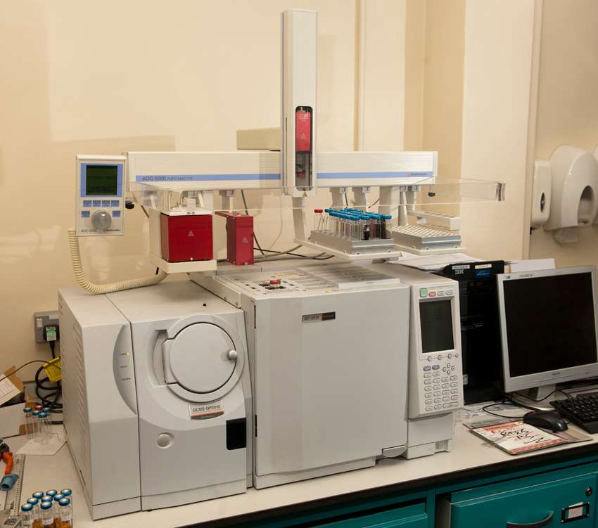 Gas Chromatograph