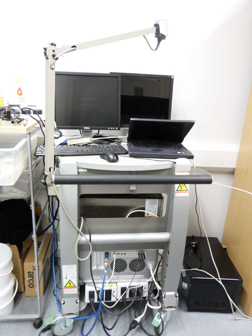 EEG system 250