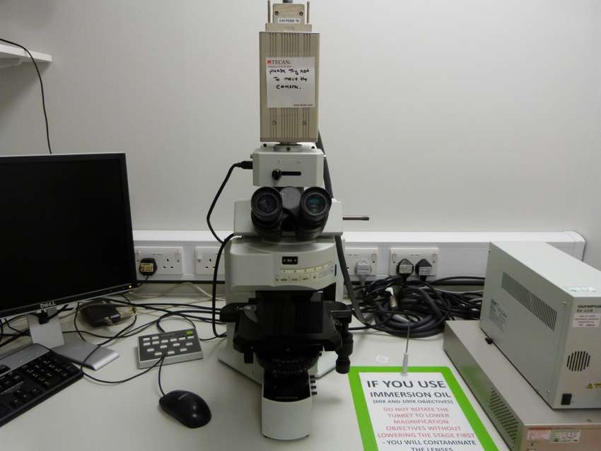 Microscope Fluorescence System