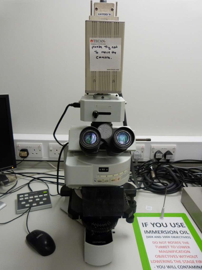 Microscope Fluorescence System