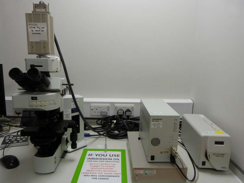 Microscope Fluorescence System