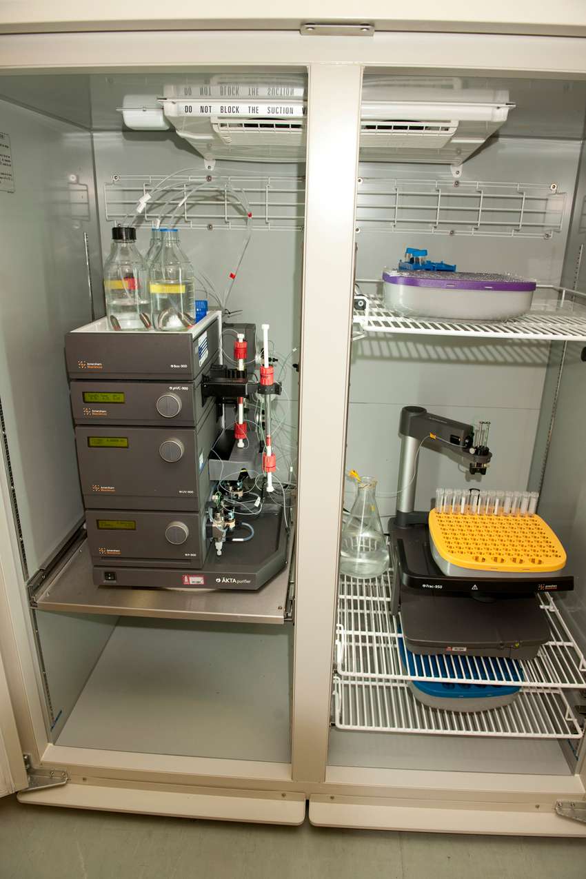 Protein Purification System