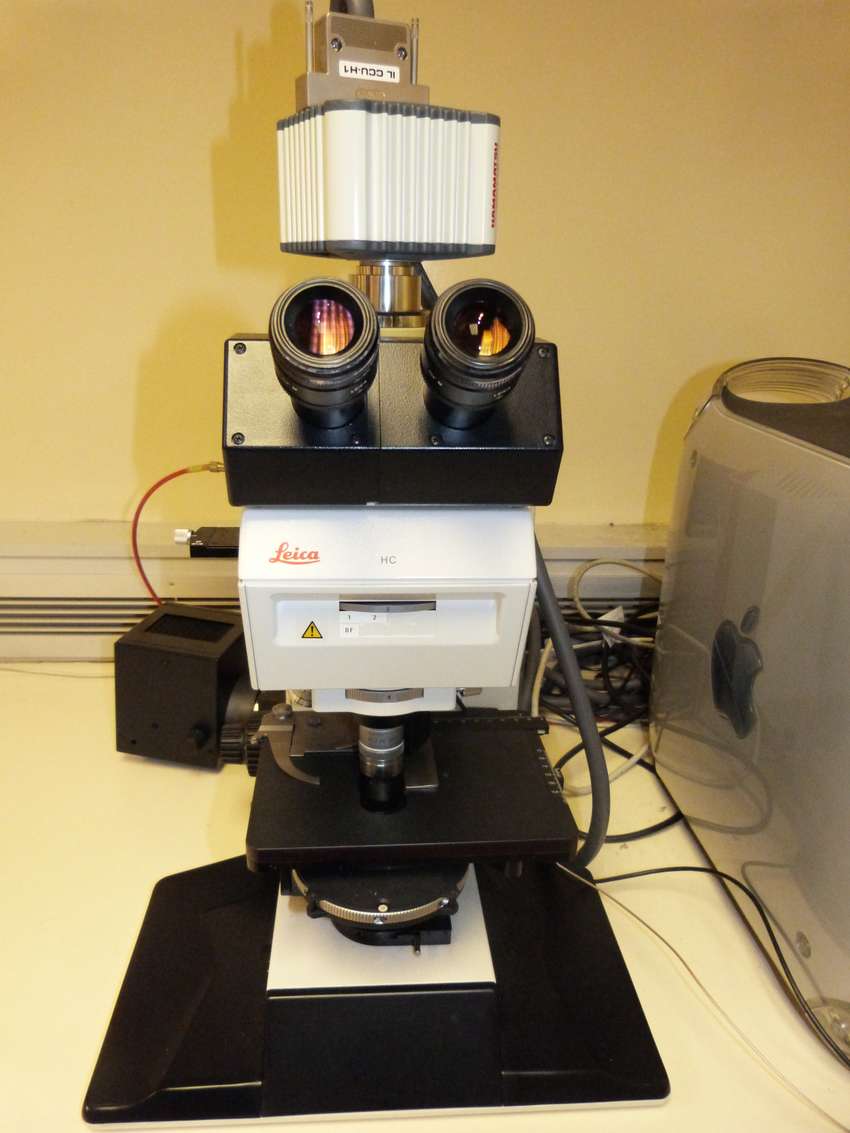 4D Cell Imaging System