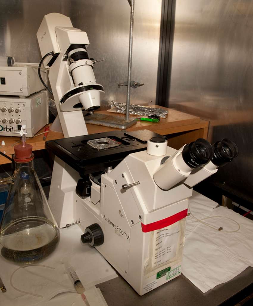 Cell Imaging System (microscope)