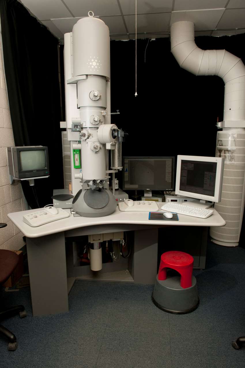 Electron Microscope