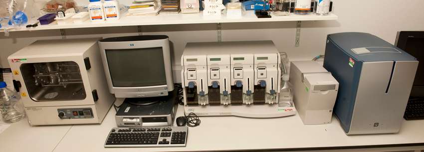 Affymetrix system