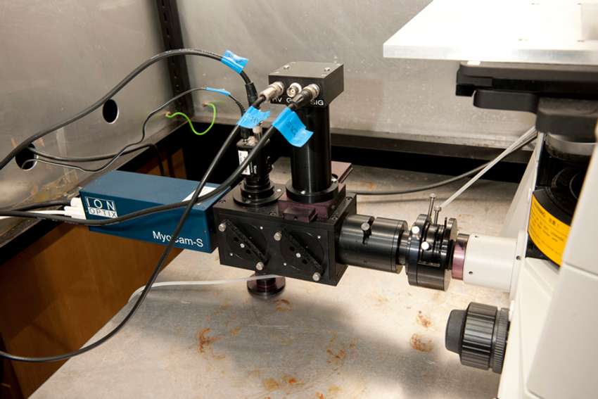 Electrophysiological System