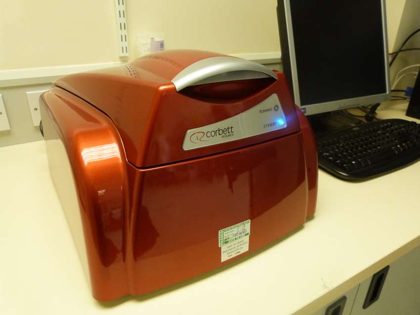 PCR Machine Thermal Cycler Rotor Gene