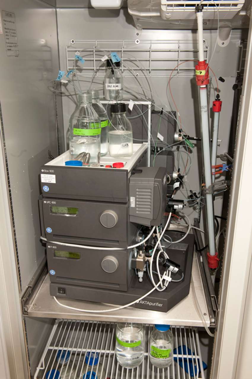 PROTEIN CHROMATOGRAPHY SYSTEM B995