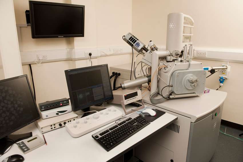 Quanta 650 Scanning Electron Microscope