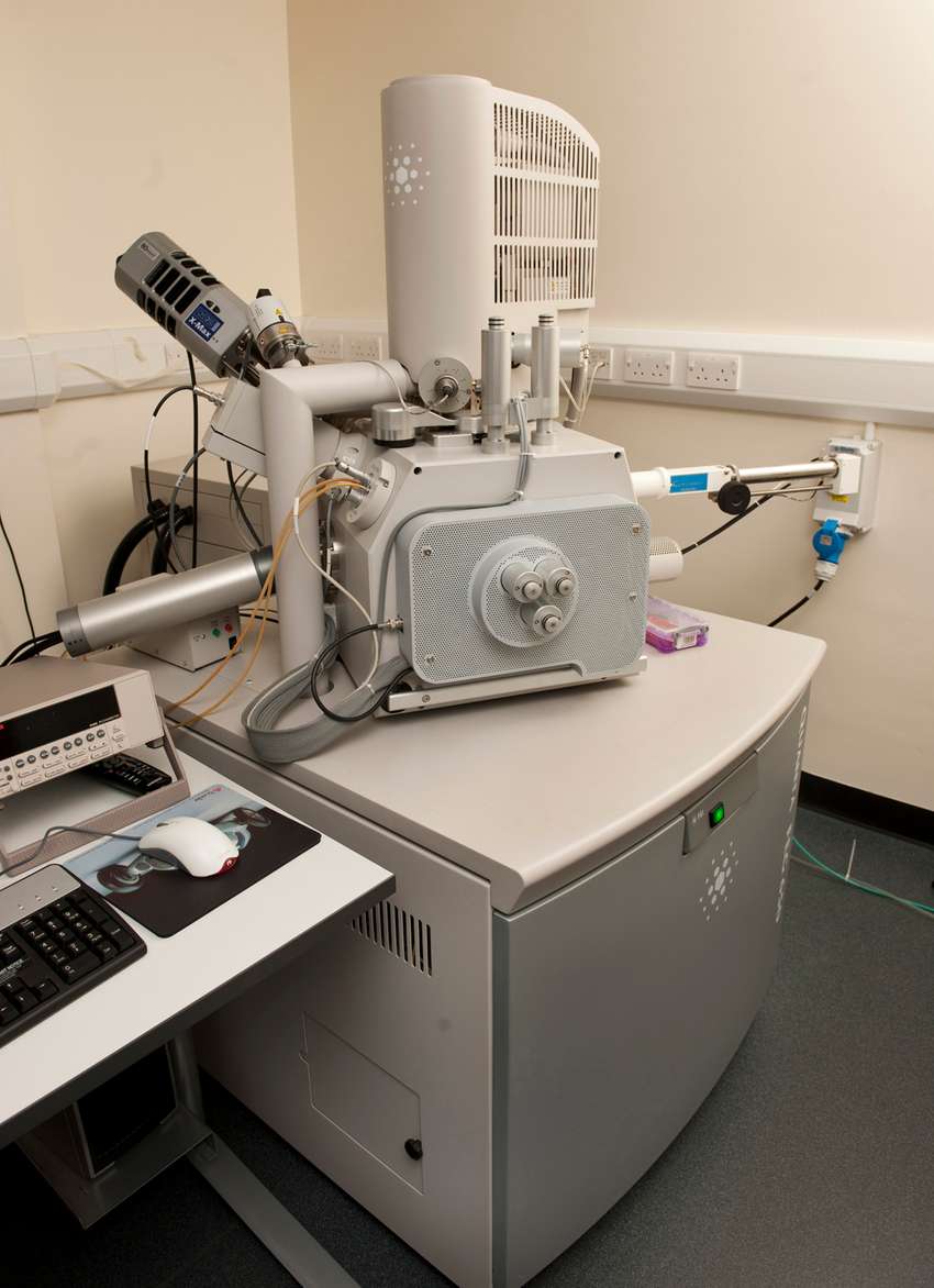 Quanta 650 Scanning Electron Microscope