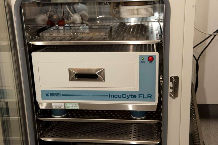 IncuCyte Live Cell Imager