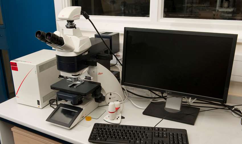 DM 6000M Microscope