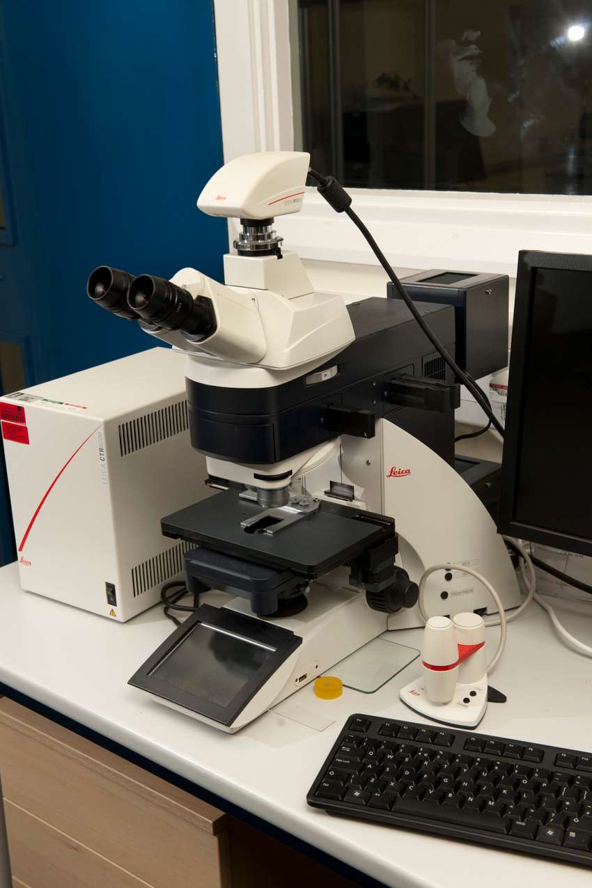 DM 6000M Microscope