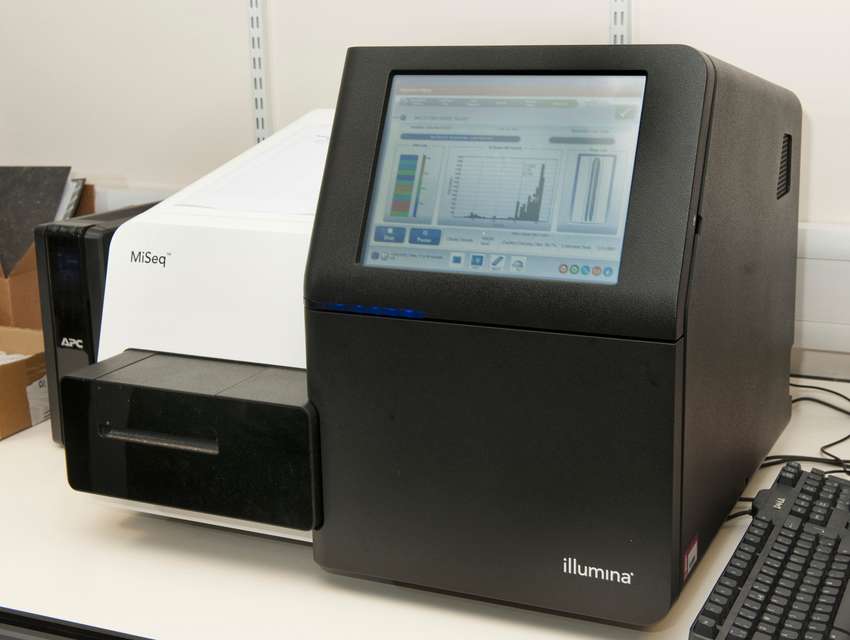 Sequencing system -  MiSeq (Illumina)