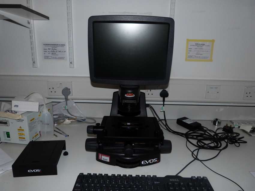 Microscope Fluorescence EVOS fl