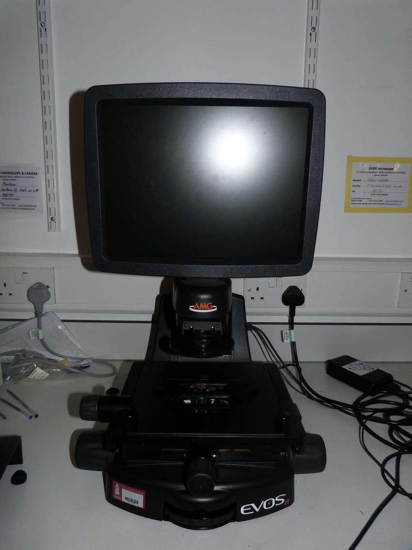 Microscope Fluorescence EVOS fl