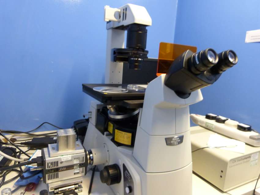 Multi Mode Inverted Microscope