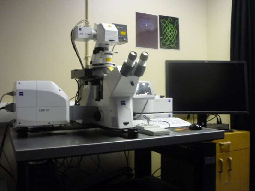 Confocal System, LSM 700