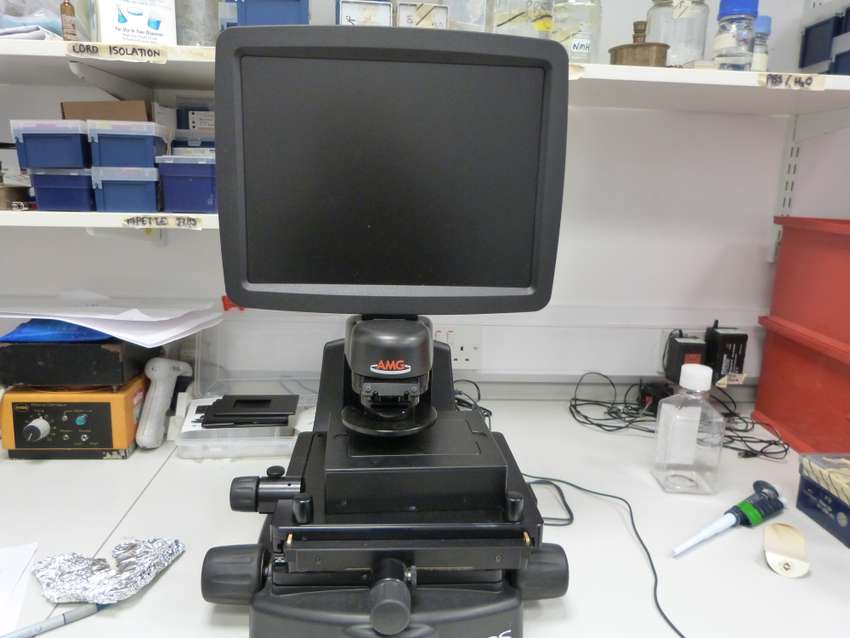 Microscope Fluorescence EVOS fl