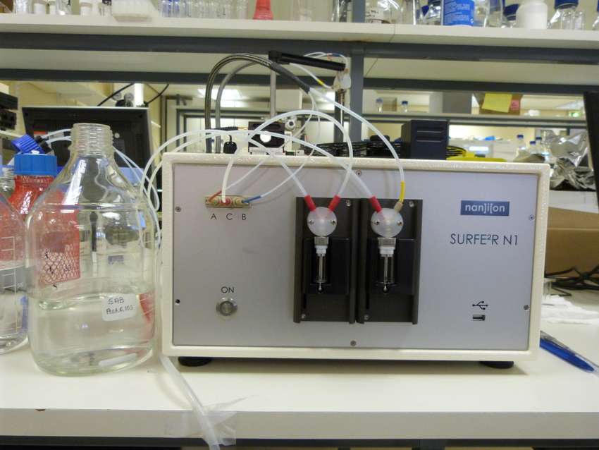 Transporter Protein Measurement