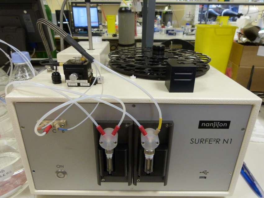 Transporter Protein Measurement