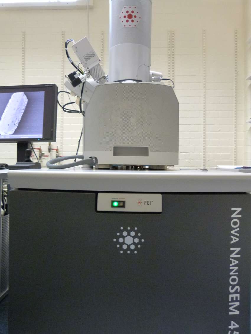 SEM (FEI, Nova NanoSEM)