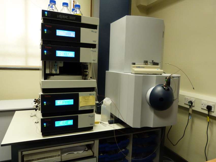 Mass Spec (LC, ESI, Q-TOF, Bruker)