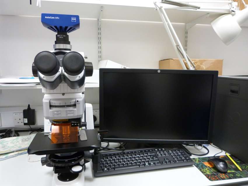 LED Fluorescence microscope