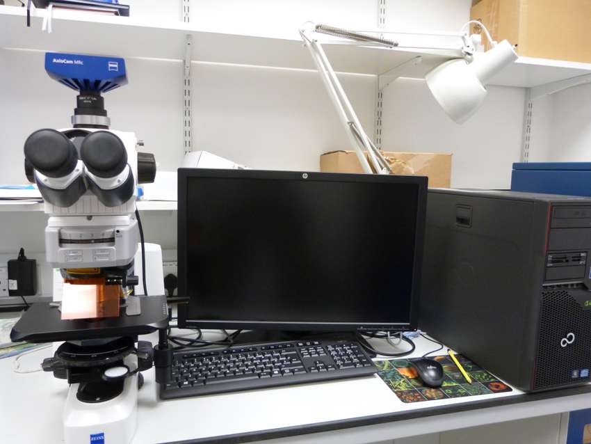 LED Fluorescence microscope