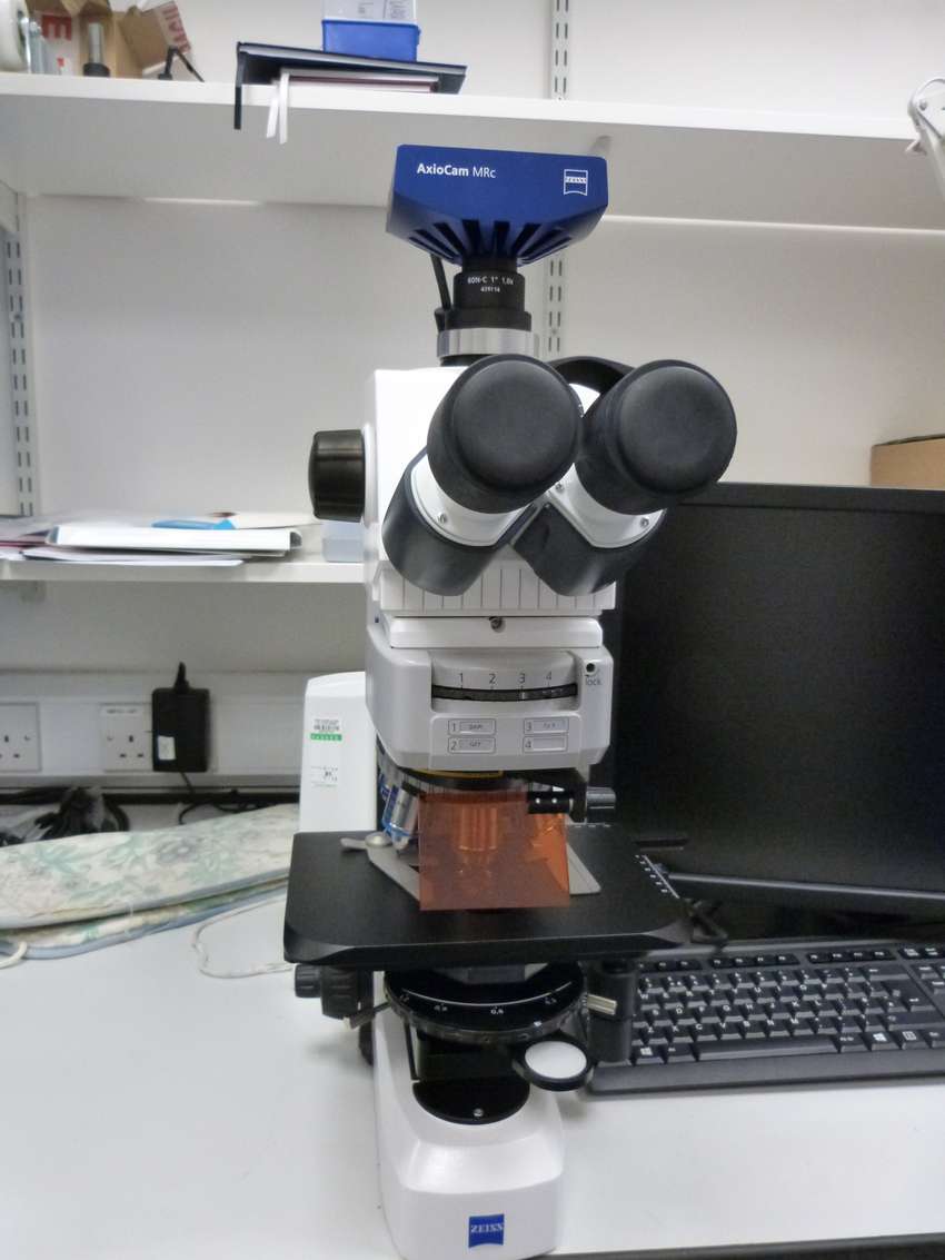 LED Fluorescence microscope