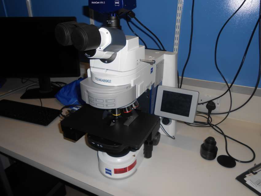 Fluoresence Upright Microscope