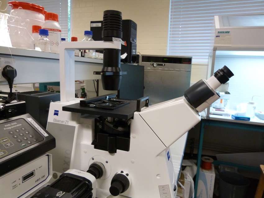 Fluorescence microscope system