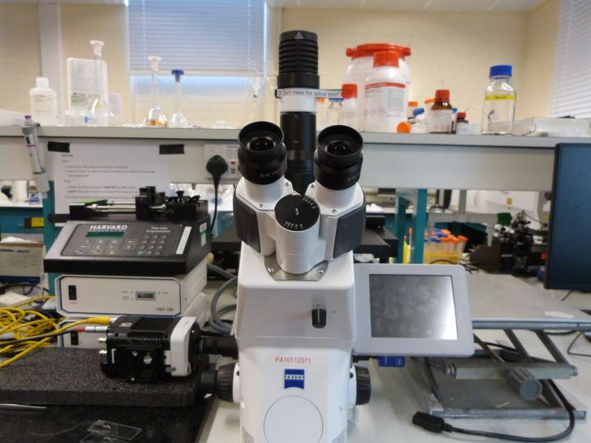 Fluorescence microscope system