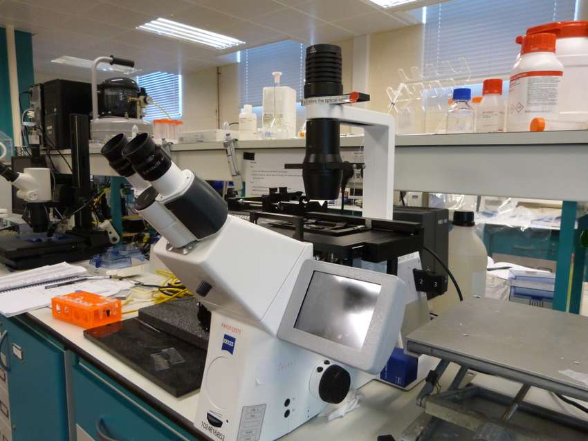 Fluorescence microscope system